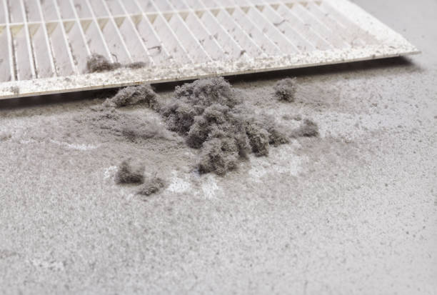 Best Best Air Duct Cleaning Company  in Wauconda, IL