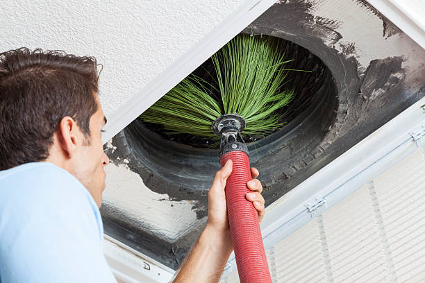 Best Affordable Duct Cleaning Services  in Wauconda, IL